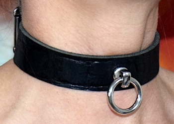 Lockable Leather Collar croco