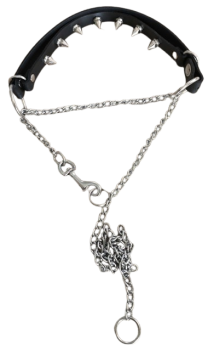 Strict Discipline Collar – Removable Spike Inlay
