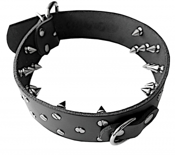 BDSM Sklavenerziehungs-Halsband, Dressurhalsband