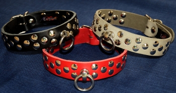 Premium studded collar