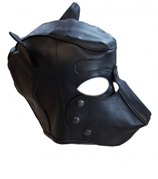 leather hood dog