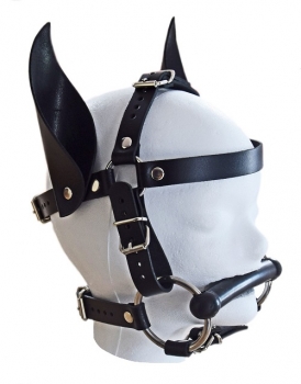 head harness horse