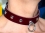 studded Collar, bordeaux red