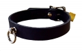 Lockable Leather Collar