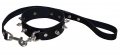 Lockable BDSM collar with Dog Leash