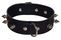 BDSM & Gothic Leather Collar