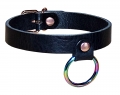 Premium Collar with Rainbow-Ring